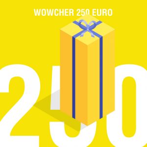 Gift Card 250