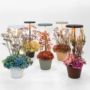 ZAFFERANO-POLDINA-REVERSO-LAMPADA-TAVOLO-COLORI-STILLUCE-STORE-BERGAMO