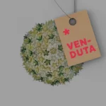 kartell-bloom-9275-menta-km0-venduta-stilluce-store-bergamo