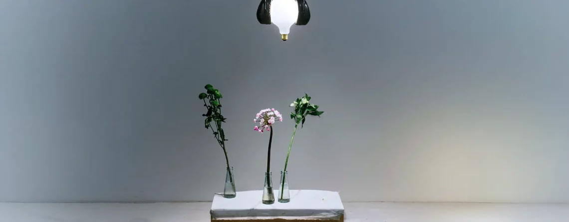 Ingo Maurer Shhh! lampada a sospensione nera accesa sopra una composizione floreale, selezionata da Stilluce Store a Bergamo